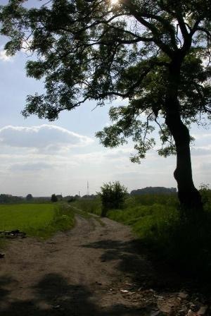 Blick na grabzog, od seity Ptokowitz.