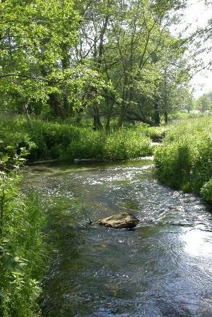 Drama. Jak sie bes lonki leci.